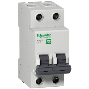 Schneider Electric EZ9F56220 2X20A C Tipi Otomatik Sigorta