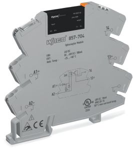 Wago 857-704 24VDC 0.1A 0-48VDC Çıkış Solid State SSR Röle