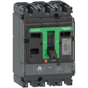 Schneider LV430631 88-125A 36kA 3P TERMİK MANYETİK KORUMALI ŞALTER