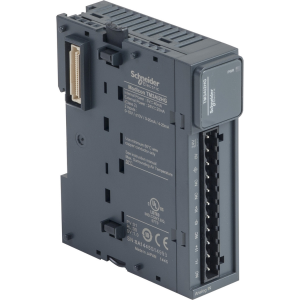 Schneider Electric TM3AI2HG Yaylı 2 Analog Giriş Modülü