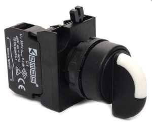 Emas CP101S30 CP Serisi Plastik 2NO (II-0-I) 60° Seçici Kalıcı 22 mm Buton