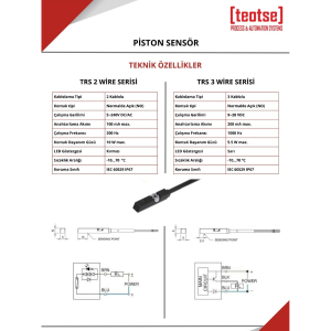 Teotse 90101001 TMP-101-3-3C03 3 Telli Reed Kontak Manyetik Piston Sensör